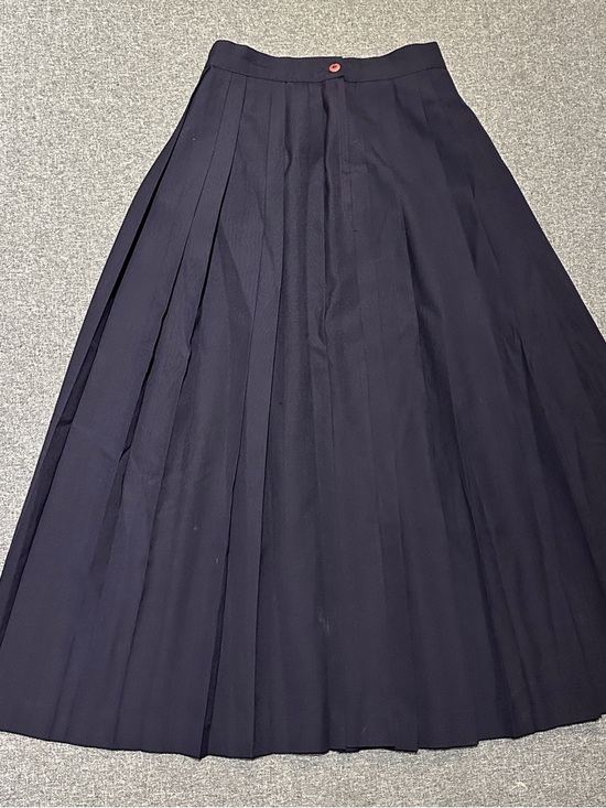 Dresses & Skirts - Navy Pleated A-Line Midi Skirt - Classic Women's Skirt